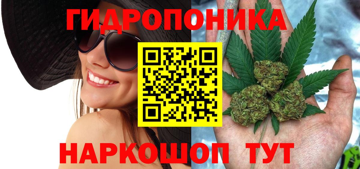 Бошки Шишки план Ливны
